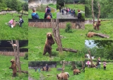 Parc Ours... Classe de Cécile