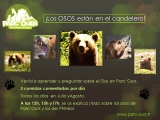 Temporada veraniega: comida de los Osos en Parc'Ours